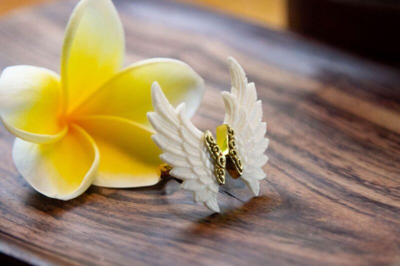 ring with wings
