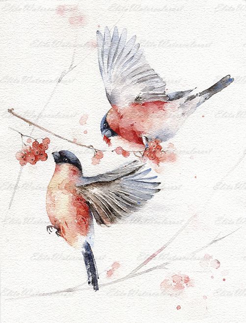 bird spiritual meaning