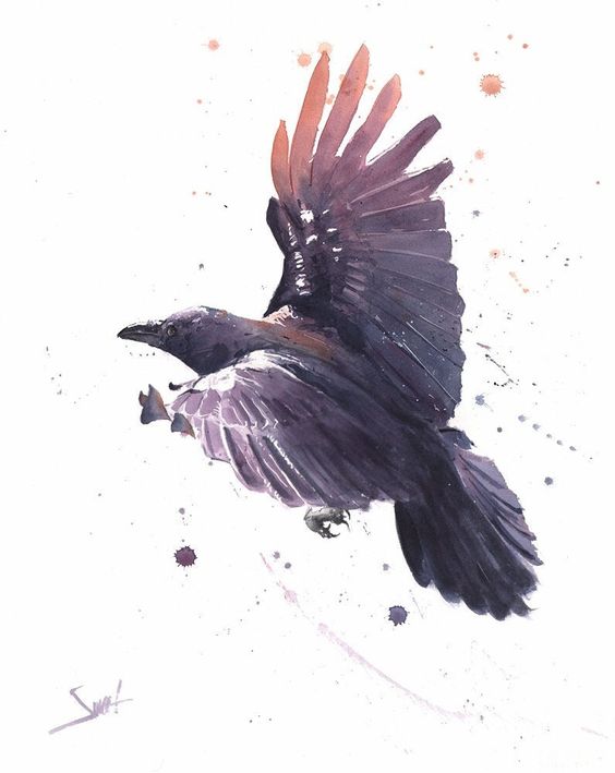 bird spirit animal