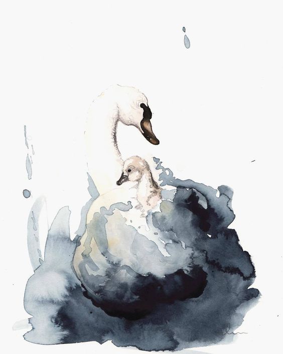 swan spiritual meaning