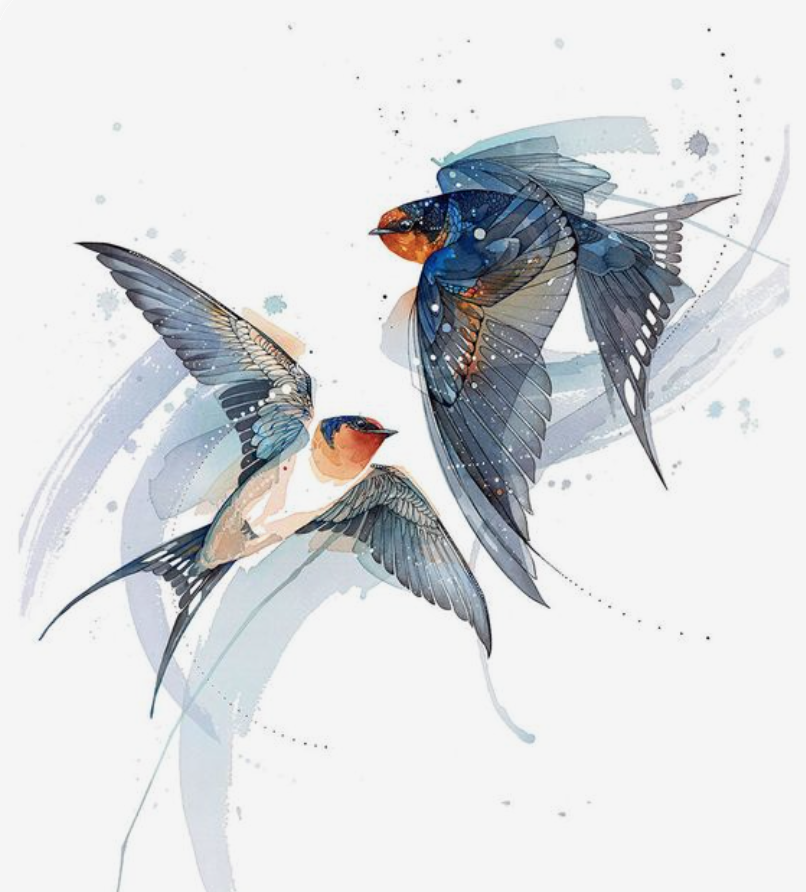 swallow spiritual meaning