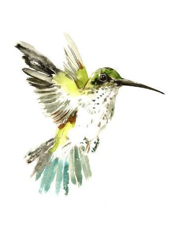 hummingbird spiritual meaning