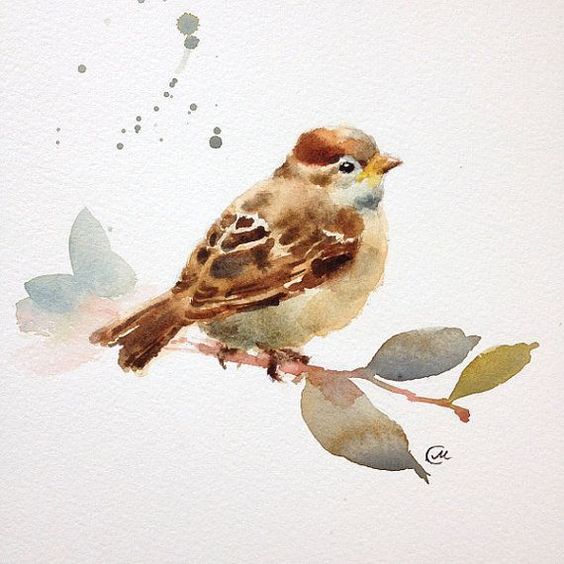 bird spiritual meaning