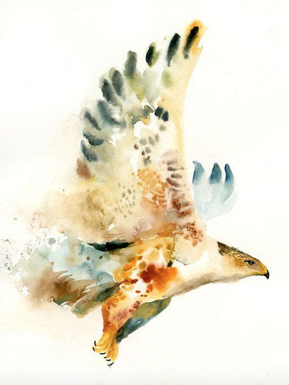 hawk spiritual meaning