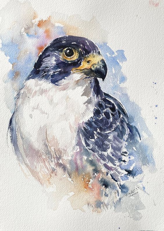 bird meaning